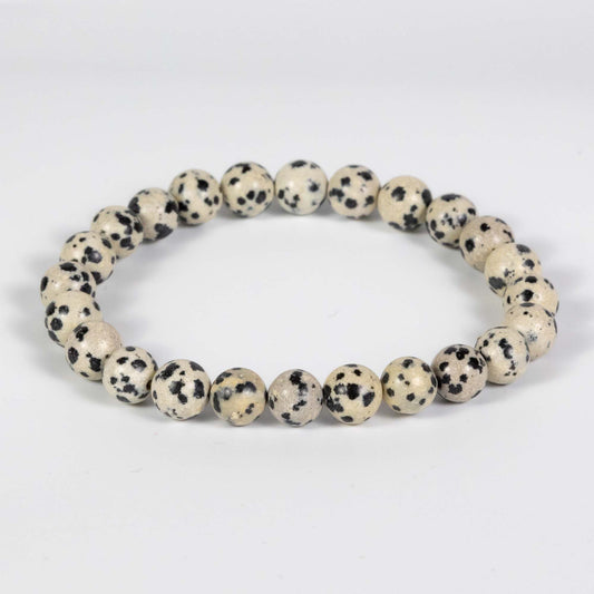 Wholesale 10Pcs Dalmatian Jasper 8mm Round Bead Gemstone Bracelets